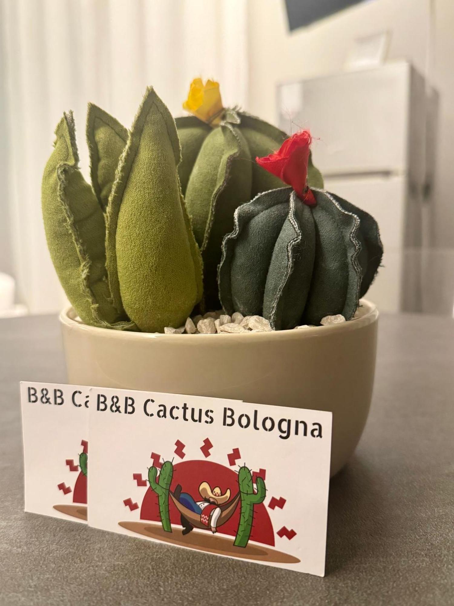 Cactus Bologna Affittacamere エクステリア 写真